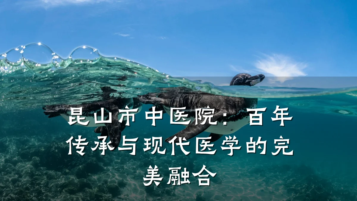 昆山市中医院:百年传承与现代医学的完美融合