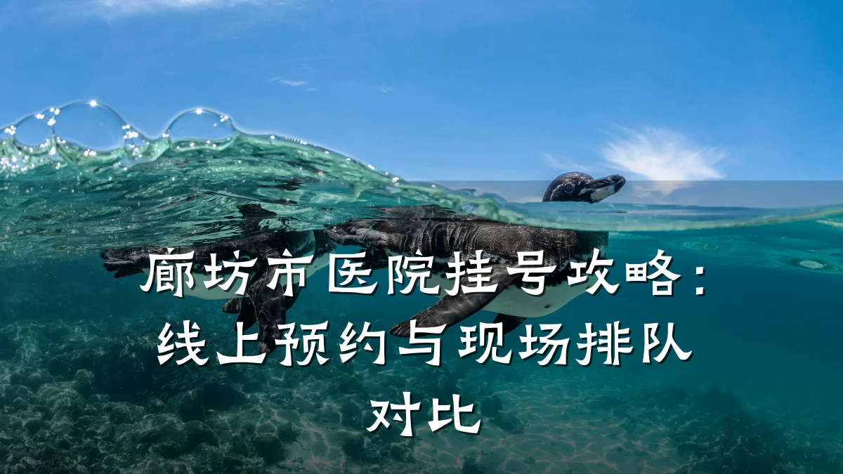 廊坊市医院挂号攻略:线上预约与现场排队对比