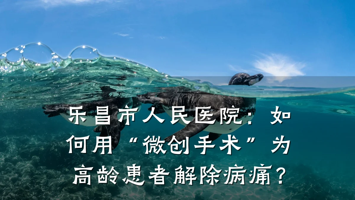 乐昌市人民医院:如何用“微创手术”为高龄患者解除病痛?