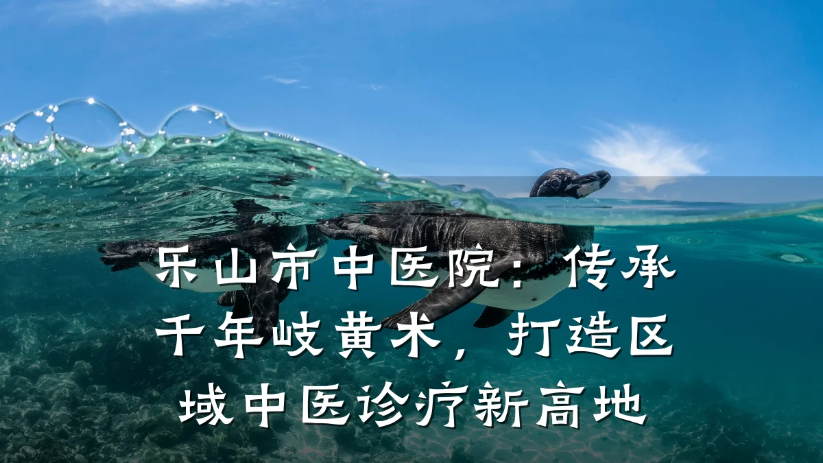 乐山市中医院:传承千年岐黄术,打造区域中医诊疗新高地