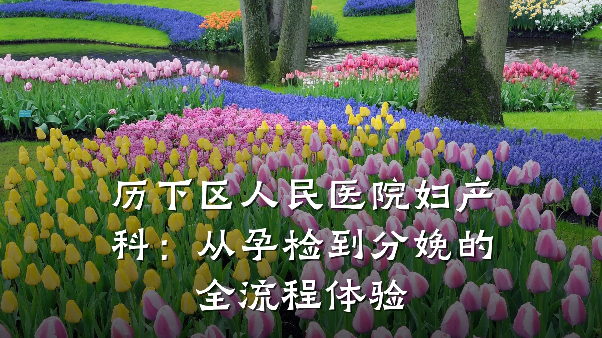 历下区人民医院妇产科:从孕检到分娩的全流程体验