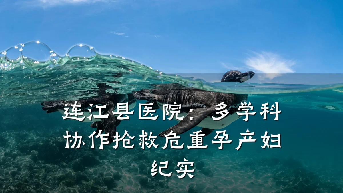 连江县医院:多学科协作抢救危重孕产妇纪实
