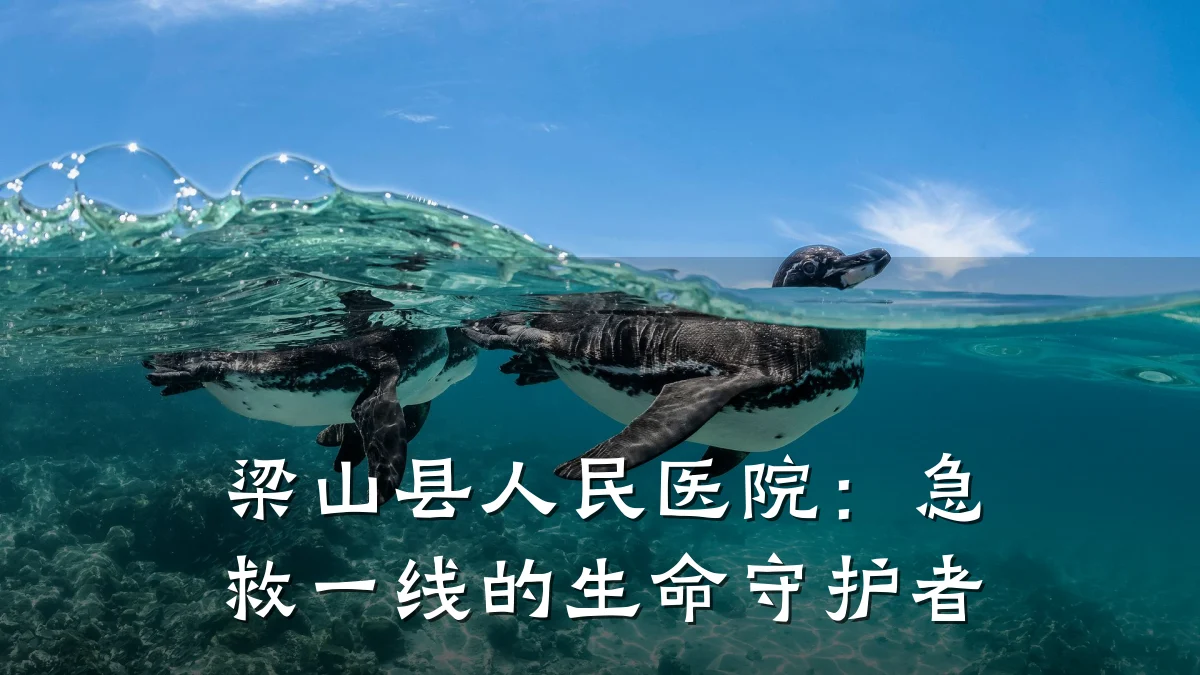 梁山县人民医院:急救一线的生命守护者