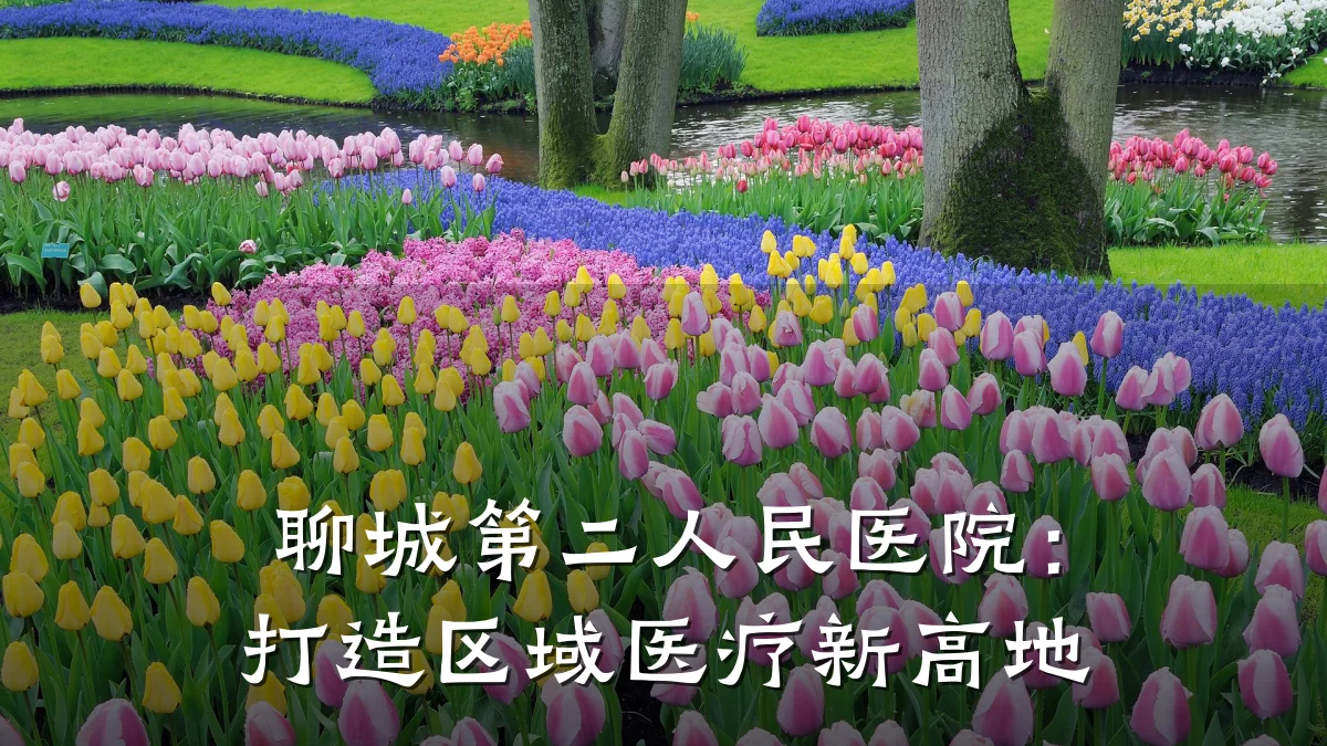 聊城第二人民医院：打造区域医疗新高地