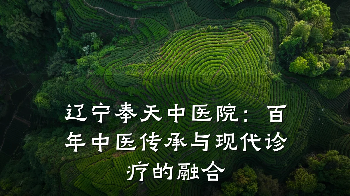 辽宁奉天中医院:百年中医传承与现代诊疗的融合