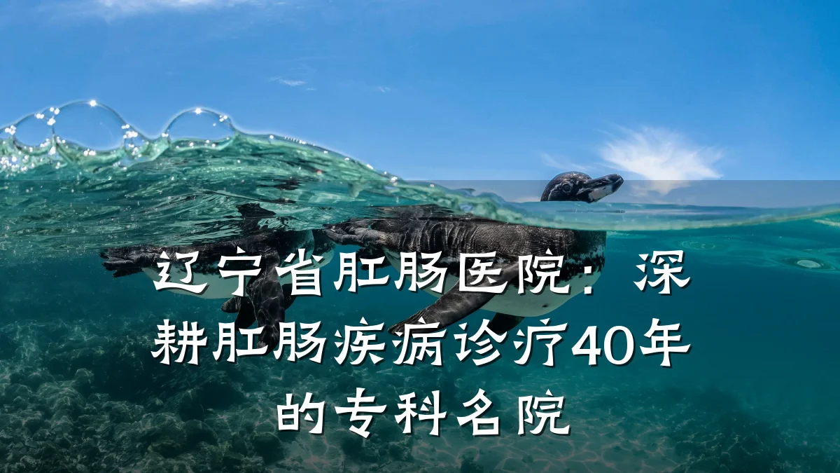 辽宁省肛肠医院:深耕肛肠疾病诊疗40年的专科名院