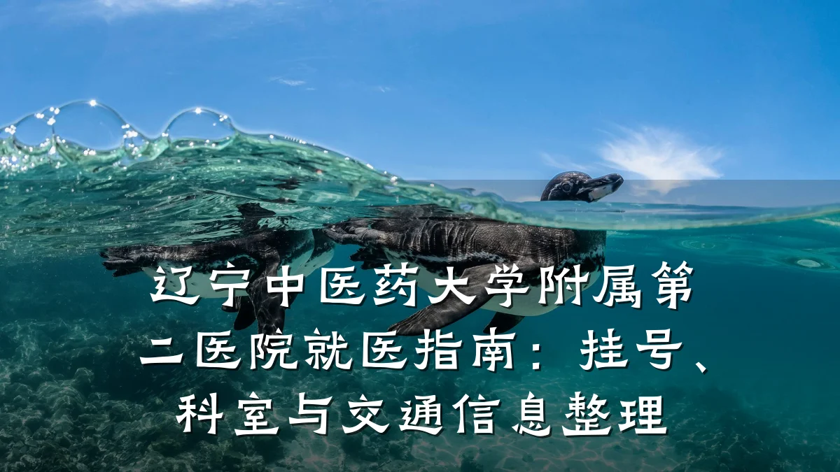辽宁中医药大学附属第二医院就医指南:挂号、科室与交通信息整理