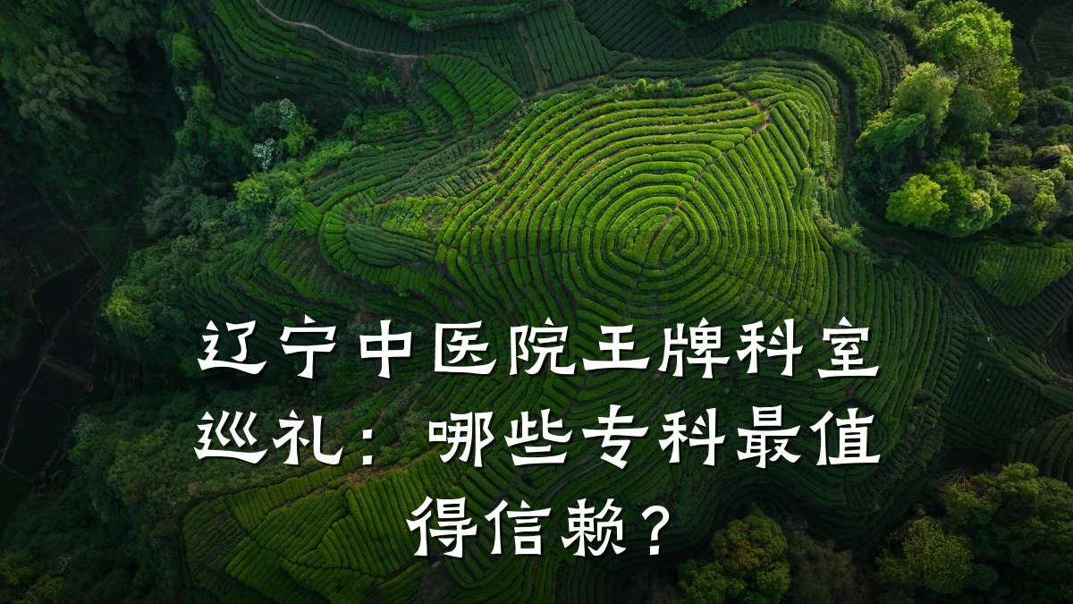 辽宁中医院王牌科室巡礼:哪些专科最值得信赖?