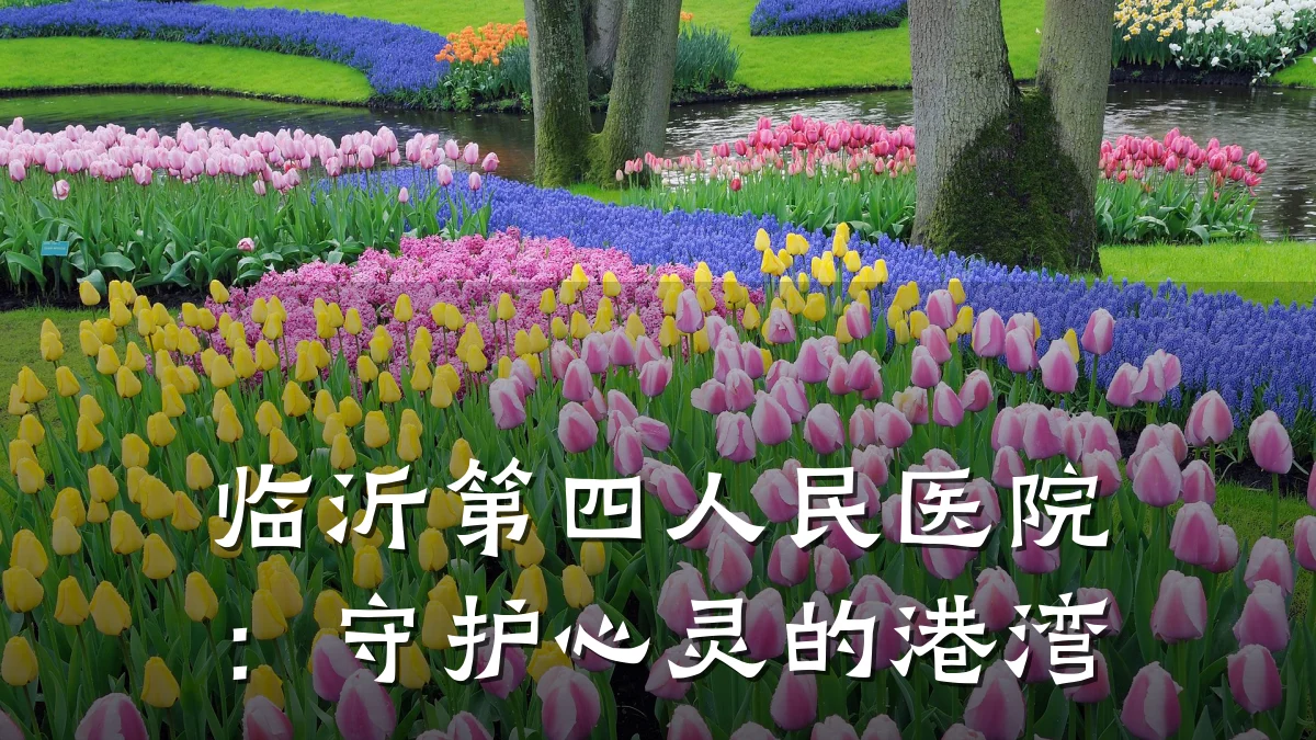 临沂第四人民医院:守护心灵的港湾
