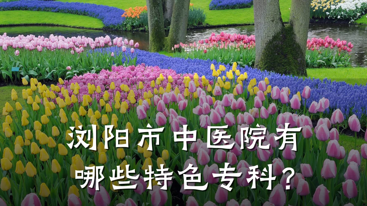 浏阳市中医院有哪些特色专科?