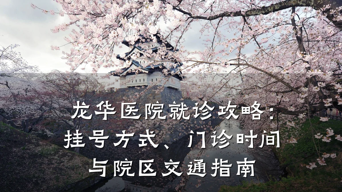 龙华医院就诊攻略：挂号方式、门诊时间与院区交通指南