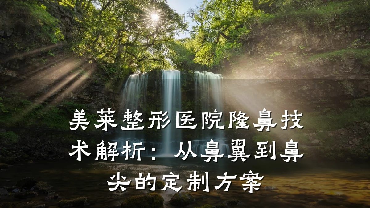 美莱整形医院隆鼻技术解析:从鼻翼到鼻尖的定制方案