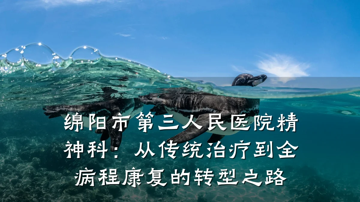 绵阳市第三人民医院精神科:从传统治疗到全病程康复的转型之路