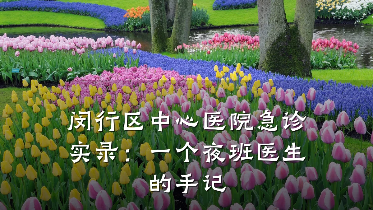 闵行区中心医院急诊实录：一个夜班医生的手记