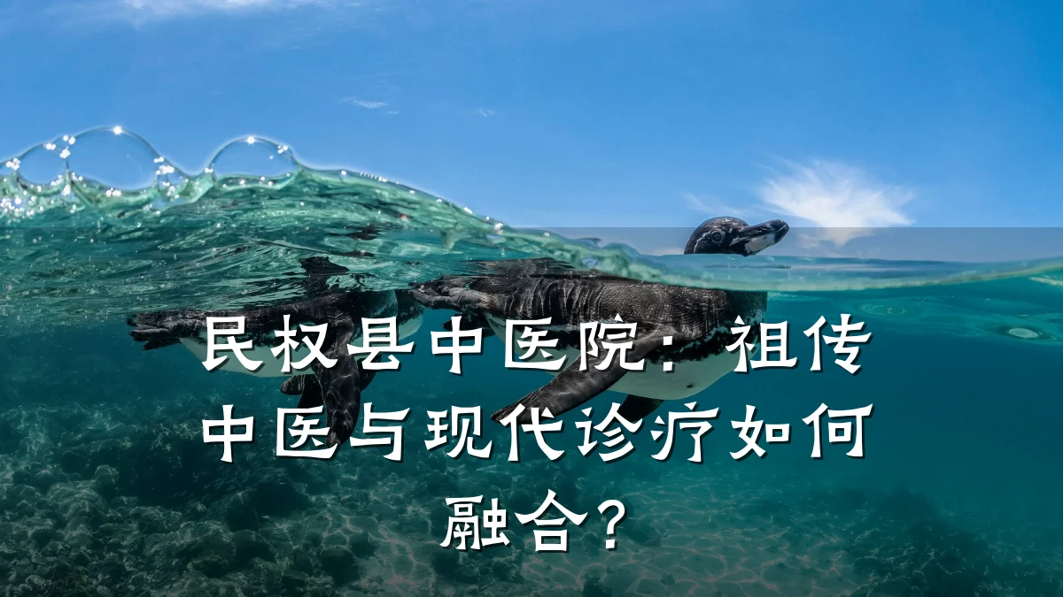 民权县中医院:祖传中医与现代诊疗如何融合?