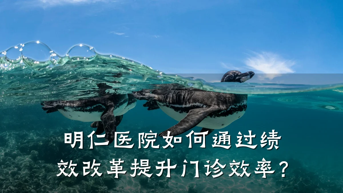 明仁医院如何通过绩效改革提升门诊效率?