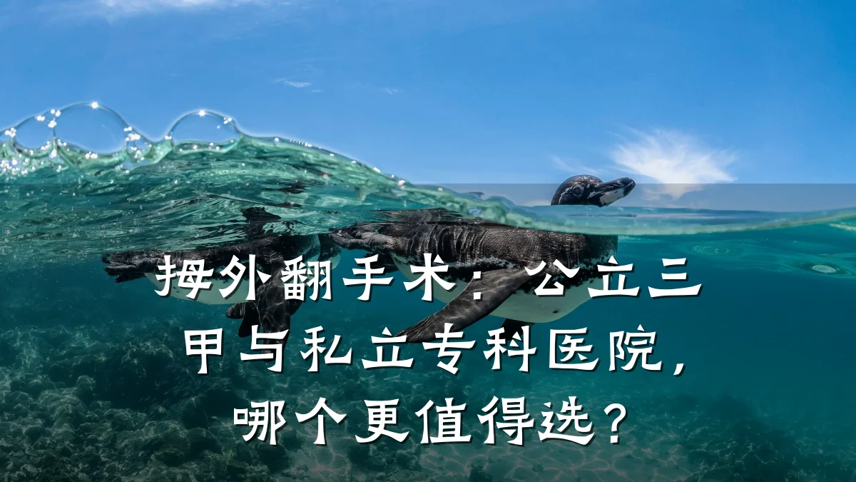 拇外翻手术:公立三甲与私立专科医院,哪个更值得选?