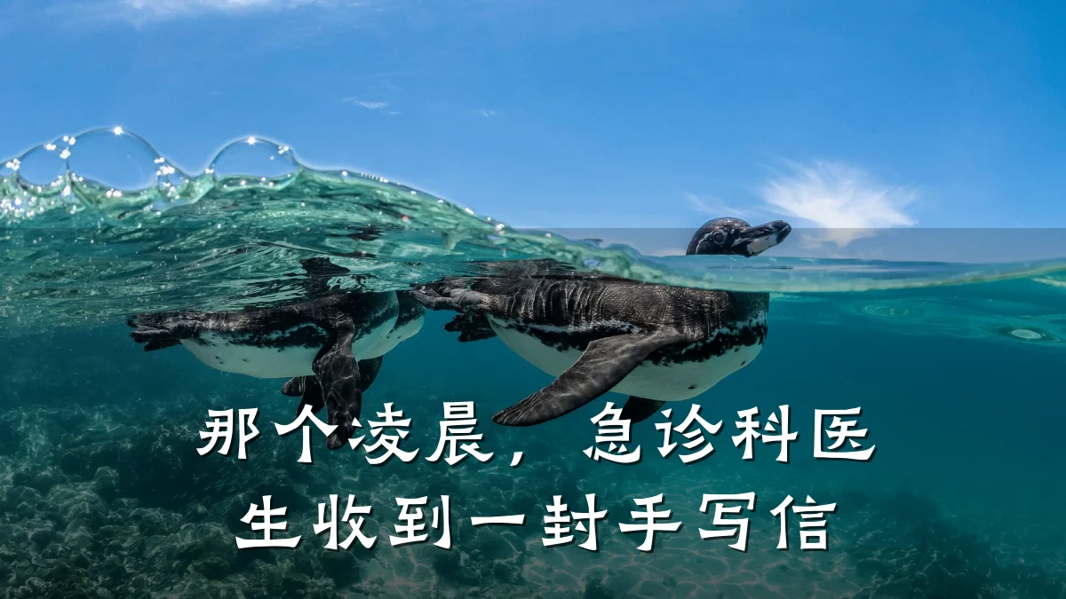 那个凌晨,急诊科医生收到一封手写信