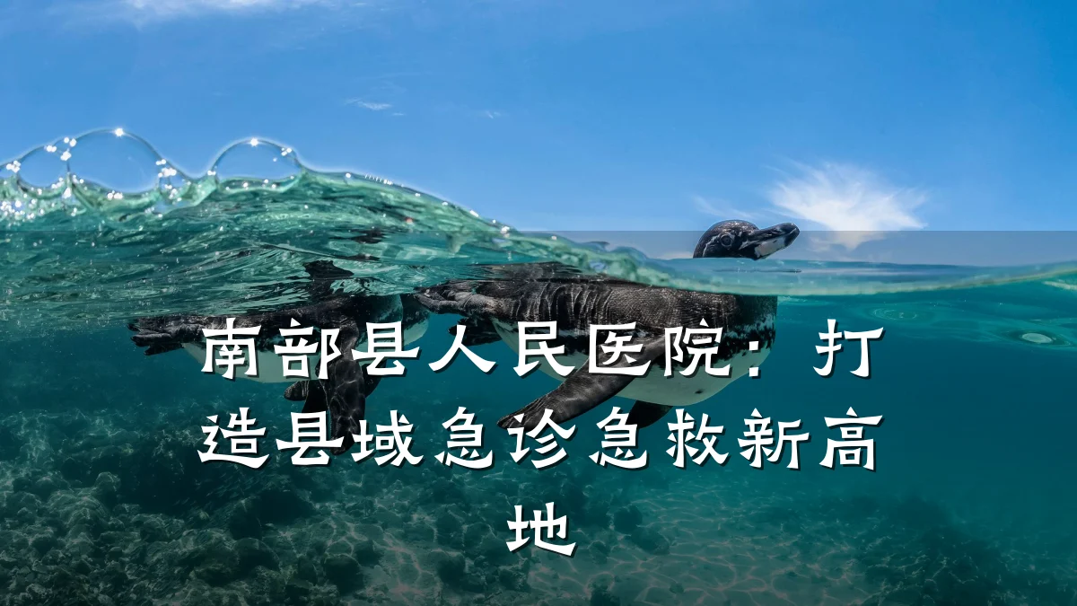 南部县人民医院:打造县域急诊急救新高地