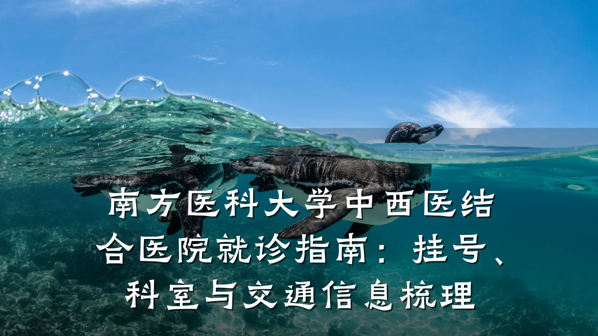 南方医科大学中西医结合医院就诊指南:挂号、科室与交通信息梳理