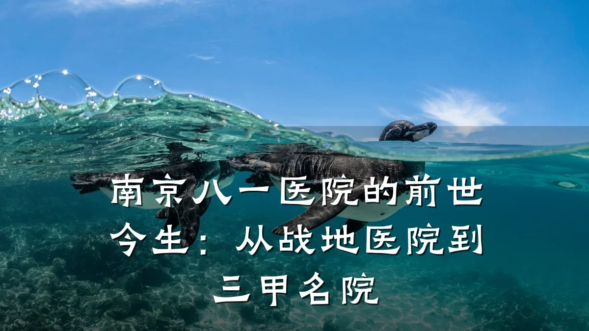 南京八一医院的前世今生:从战地医院到三甲名院