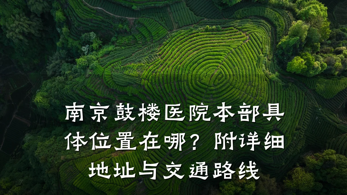 南京鼓楼医院本部具体位置在哪?附详细地址与交通路线