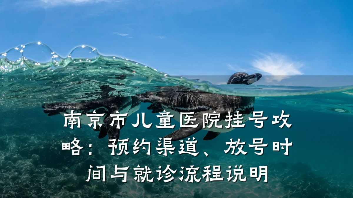 南京市儿童医院挂号攻略:预约渠道、放号时间与就诊流程说明
