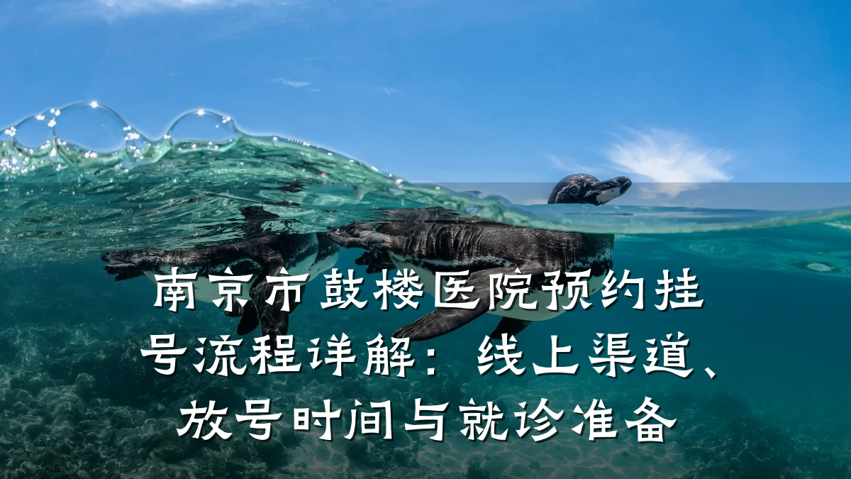 南京市鼓楼医院预约挂号流程详解:线上渠道、放号时间与就诊准备