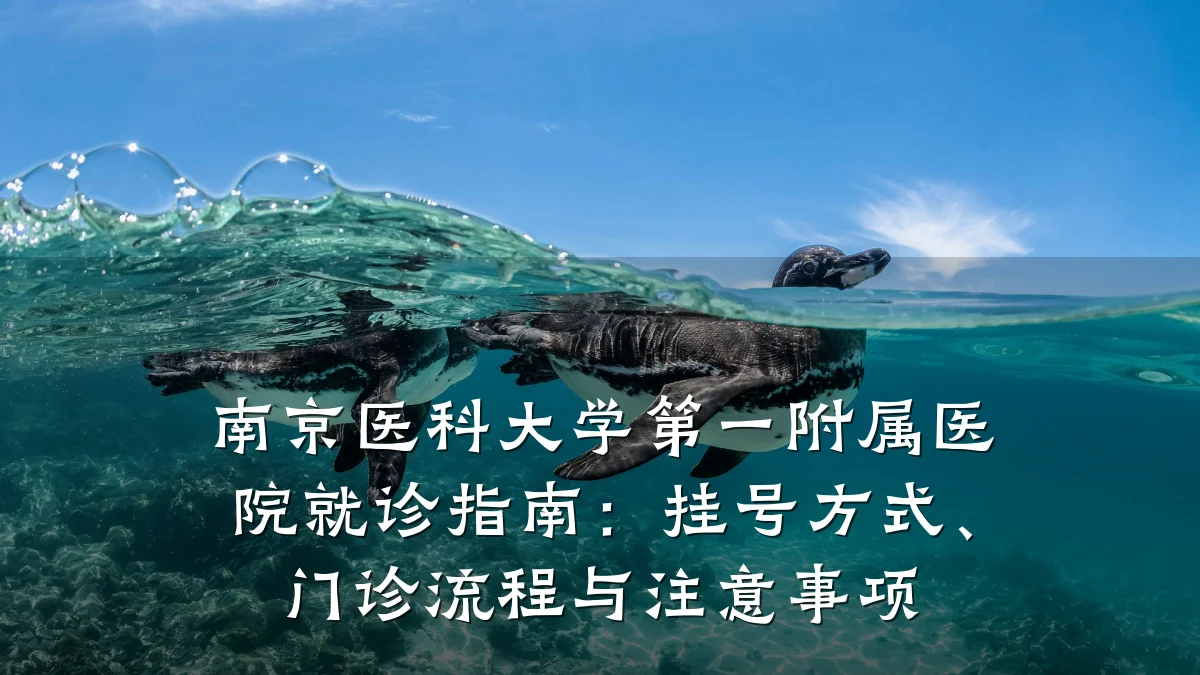 南京医科大学第一附属医院就诊指南:挂号方式、门诊流程与注意事项