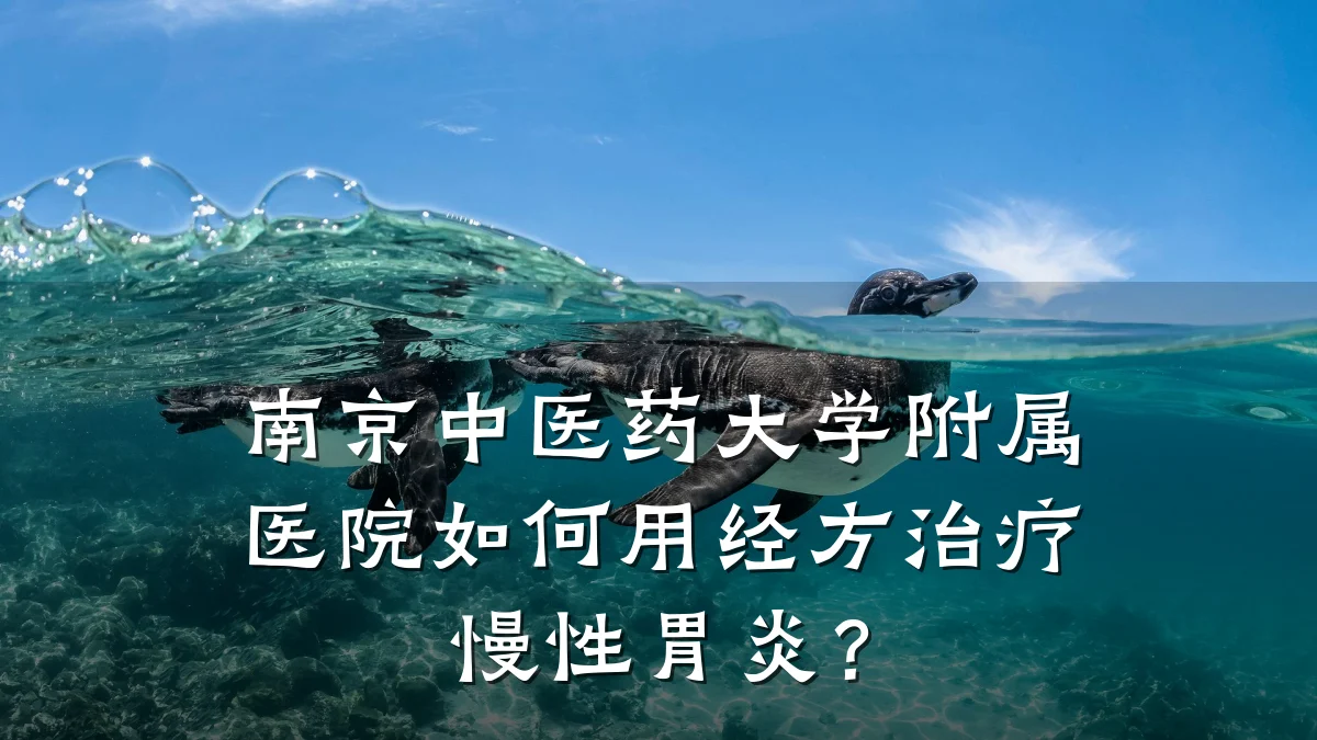 南京中医药大学附属医院如何用经方治疗慢性胃炎?
