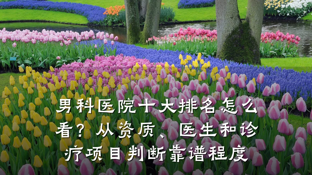 男科医院十大排名怎么看?从资质、医生和诊疗项目判断靠谱程度