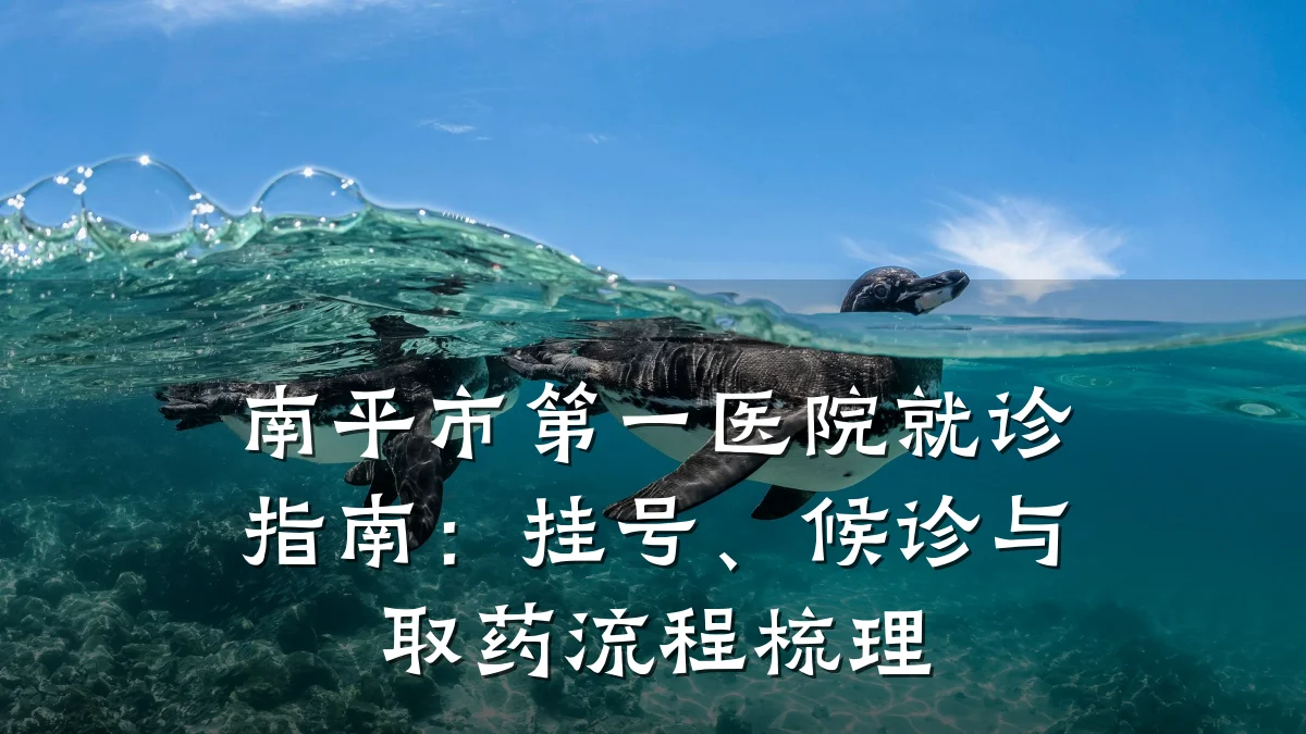 南平市第一医院就诊指南:挂号、候诊与取药流程梳理