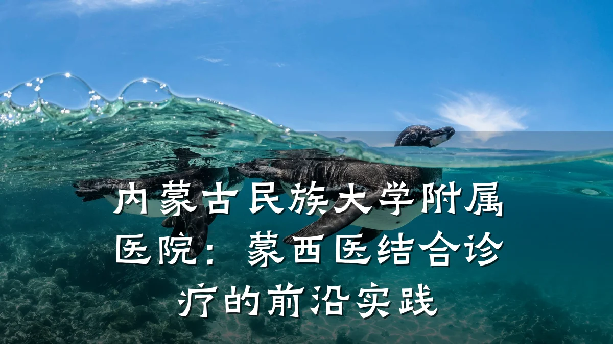 内蒙古民族大学附属医院:蒙西医结合诊疗的前沿实践
