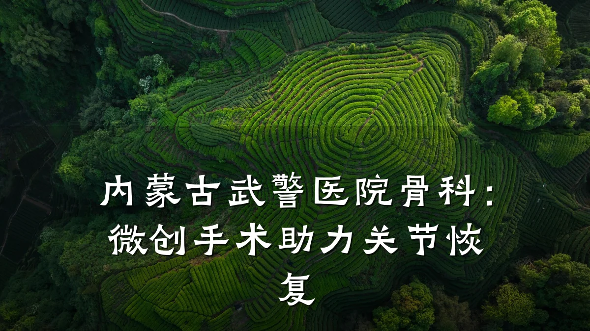 内蒙古武警医院骨科:微创手术助力关节恢复