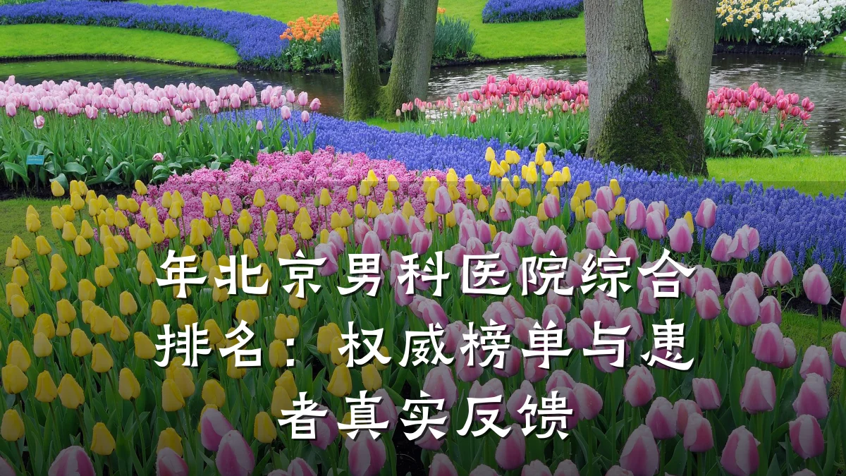 年北京男科医院综合排名:权威榜单与患者真实反馈