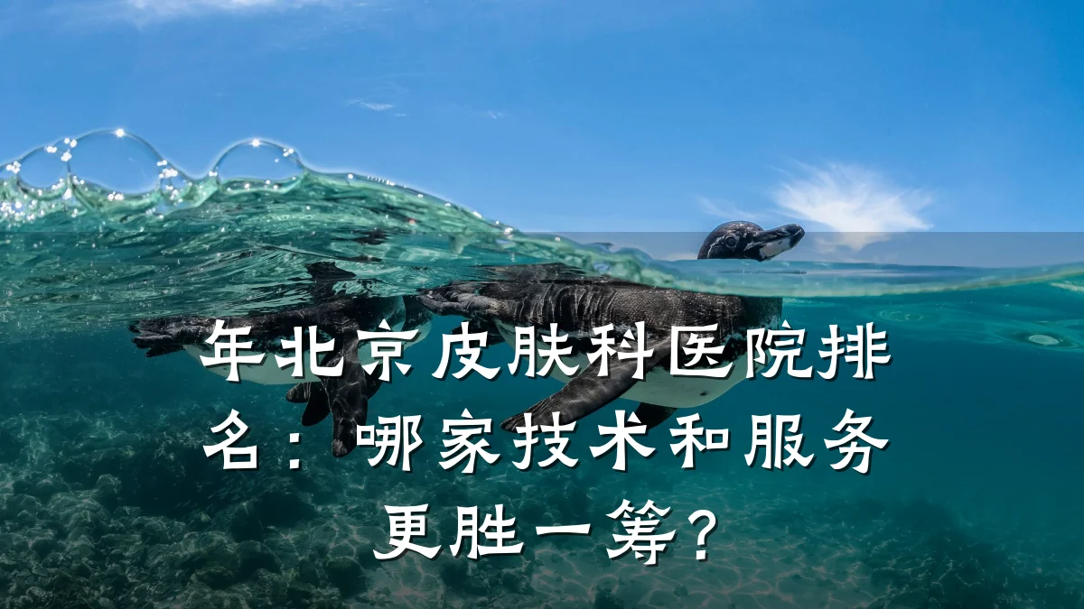 年北京皮肤科医院排名：哪家技术和服务更胜一筹？