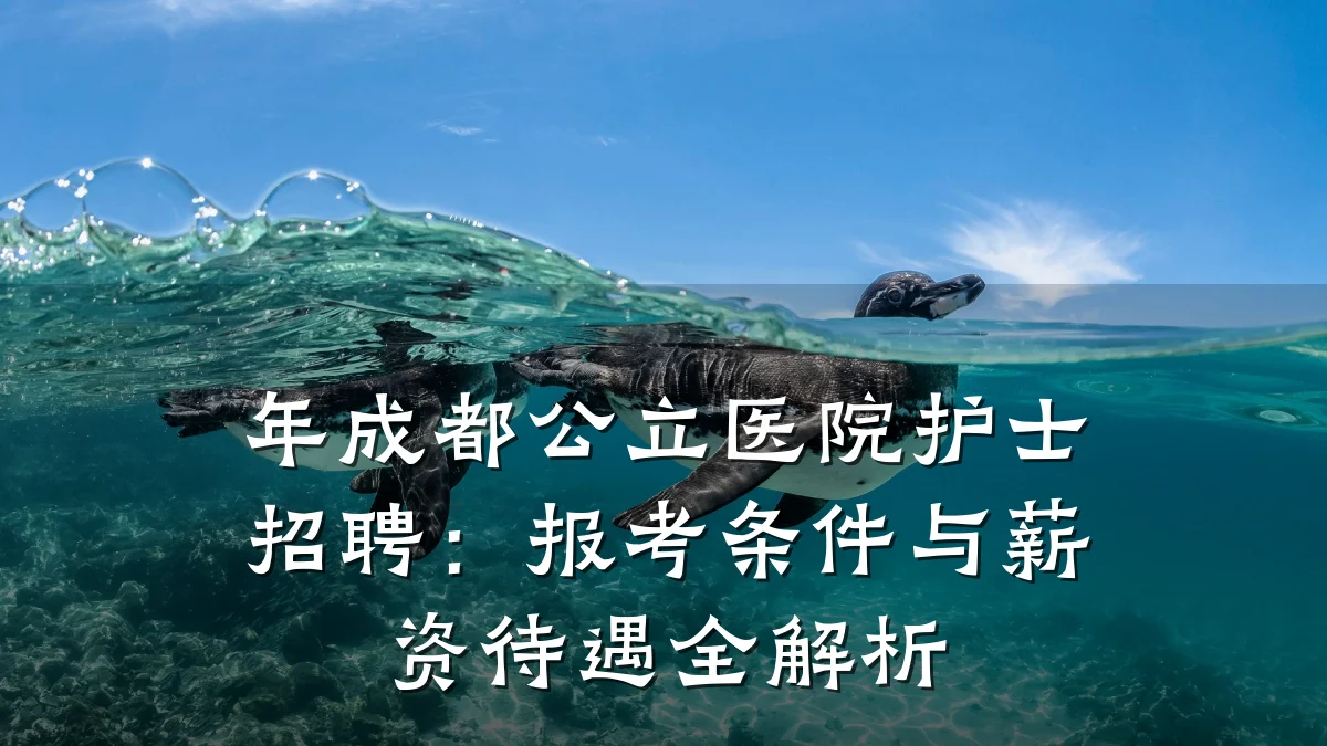 年成都公立医院护士招聘:报考条件与薪资待遇全解析