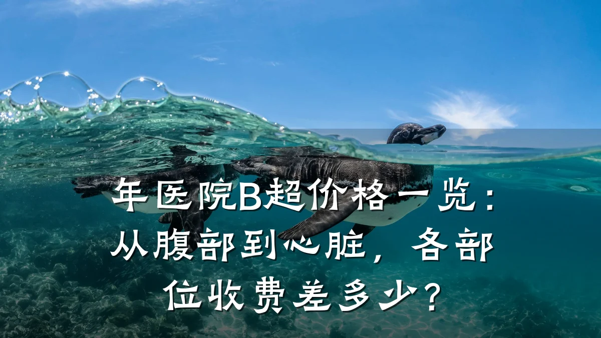 年医院B超价格一览:从腹部到心脏,各部位收费差多少?