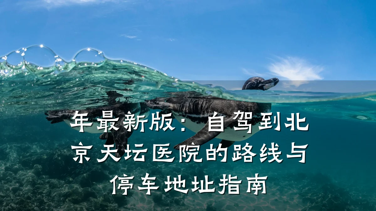 年最新版:自驾到北京天坛医院的路线与停车地址指南