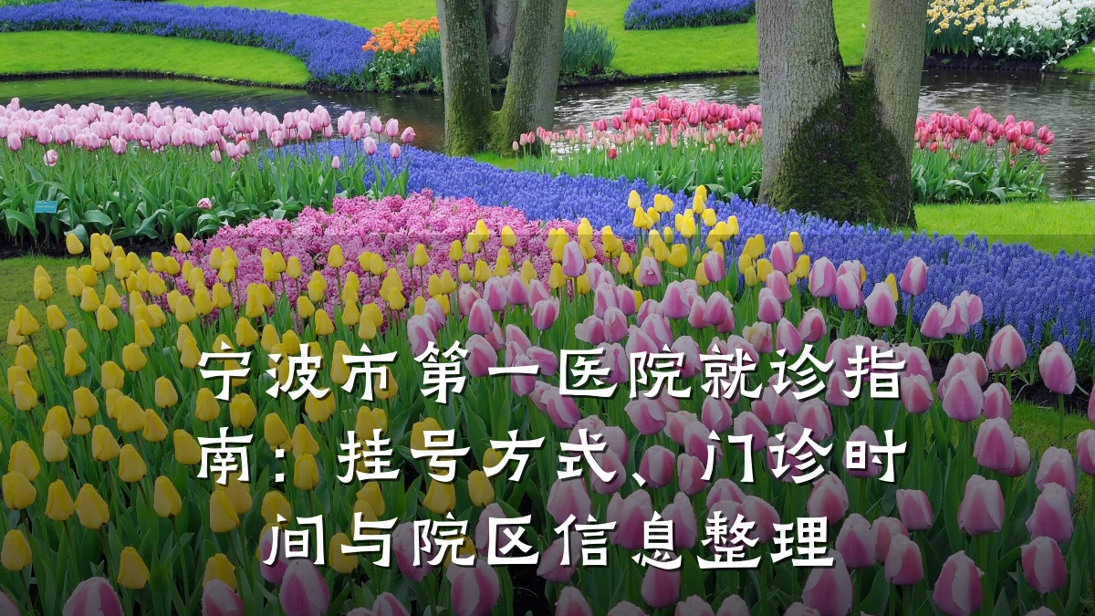 宁波市第一医院就诊指南:挂号方式、门诊时间与院区信息整理