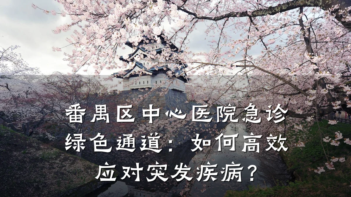 番禺区中心医院急诊绿色通道:如何高效应对突发疾病?