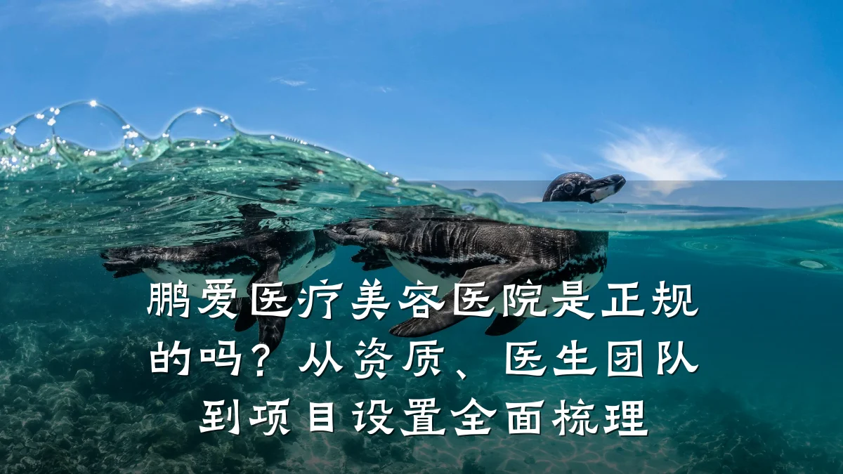 鹏爱医疗美容医院是正规的吗?从资质、医生团队到项目设置全面梳理