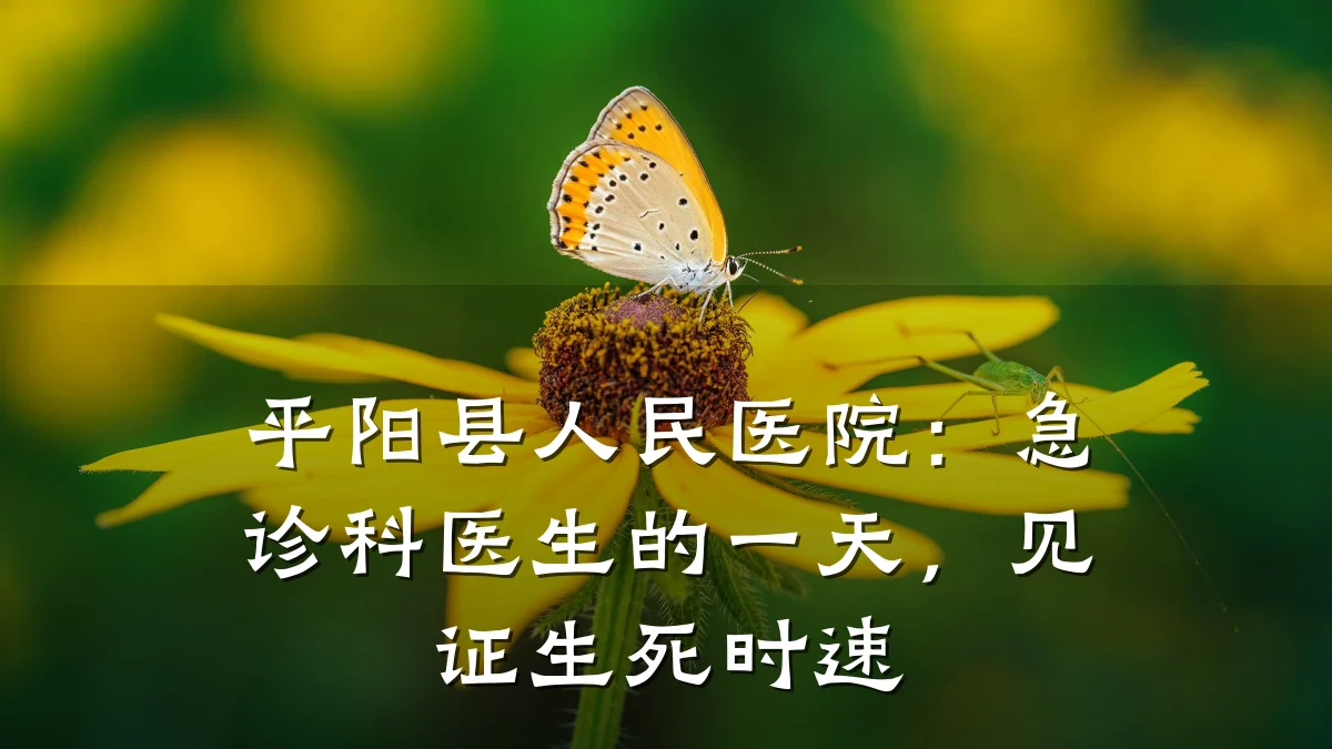 平阳县人民医院:急诊科医生的一天,见证生死时速