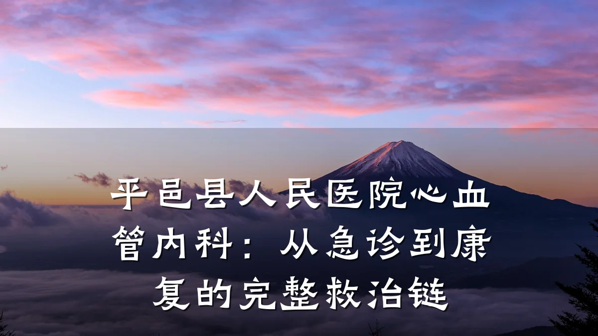 平邑县人民医院心血管内科:从急诊到康复的完整救治链