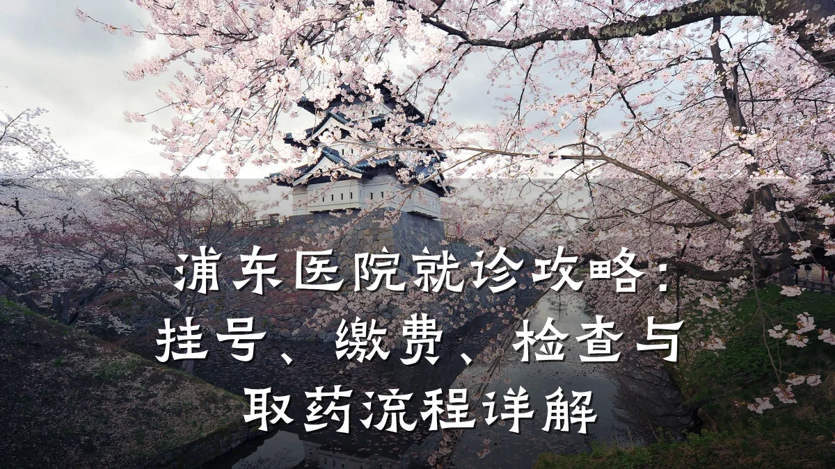 浦东医院就诊攻略:挂号、缴费、检查与取药流程详解