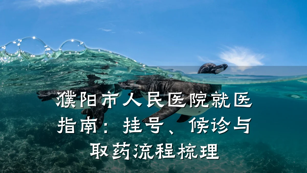 濮阳市人民医院就医指南:挂号、候诊与取药流程梳理
