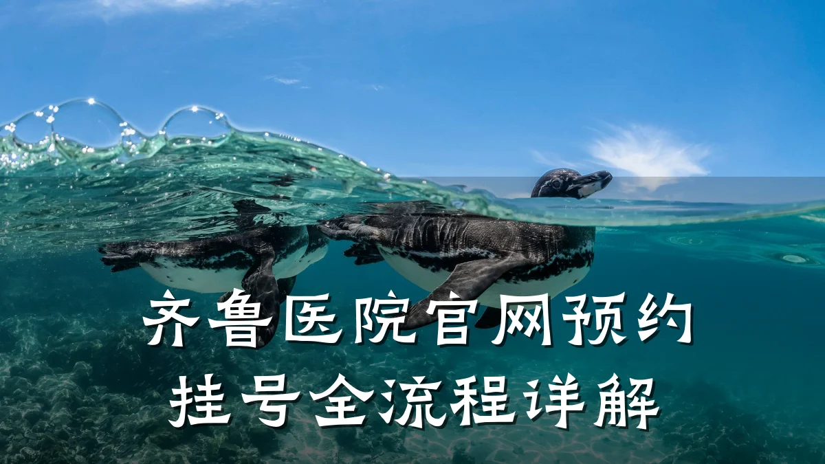 齐鲁医院官网预约挂号全流程详解