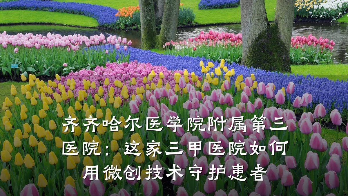 齐齐哈尔医学院附属第三医院:这家三甲医院如何用微创技术守护患者