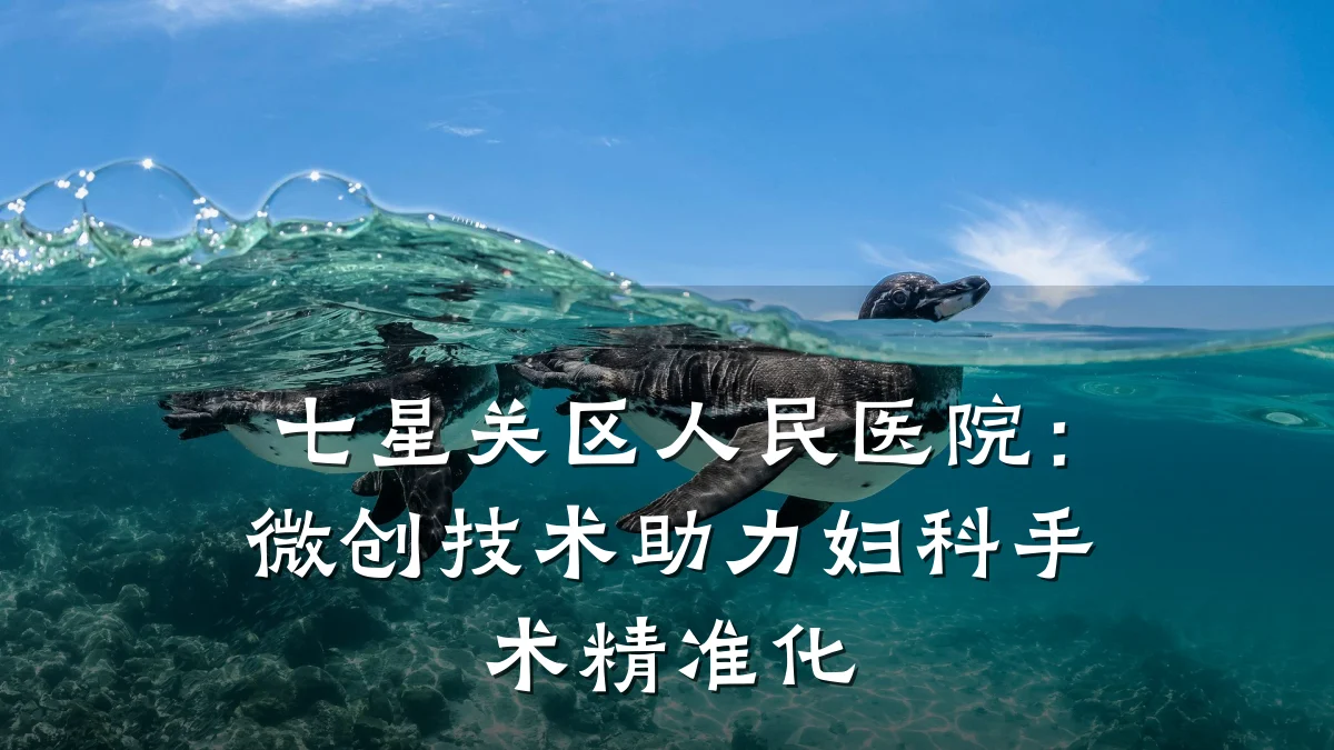 七星关区人民医院:微创技术助力妇科手术精准化