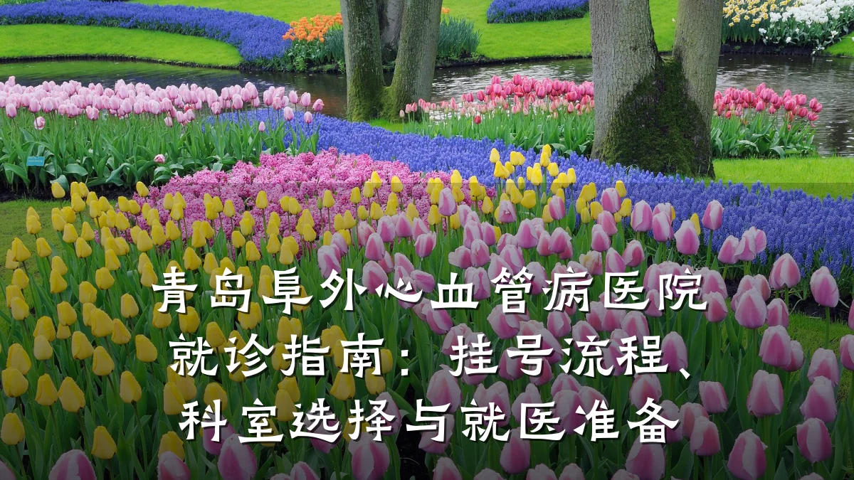 青岛阜外心血管病医院就诊指南:挂号流程、科室选择与就医准备